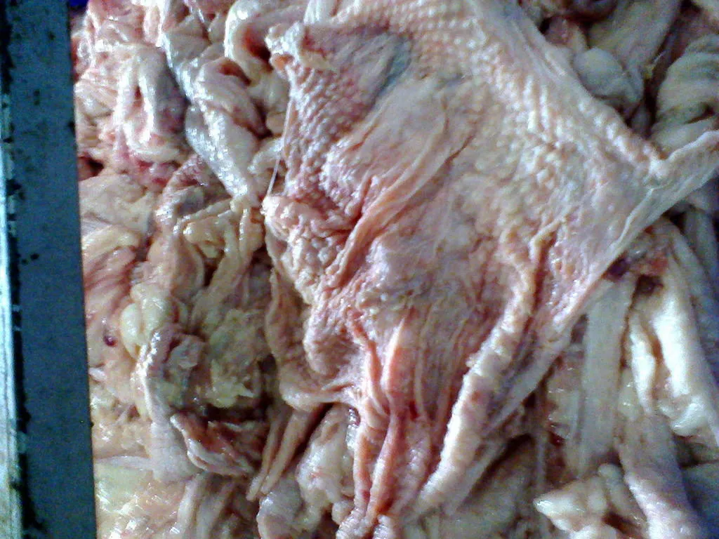 мясо птицы от Ржевской птицефабрики в Ржеве 3